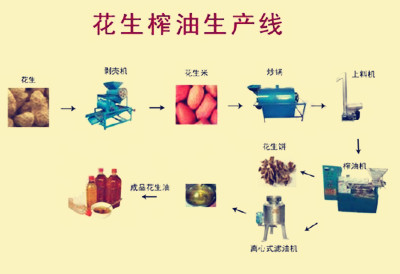 花生榨油機的春天來啦(圖1)